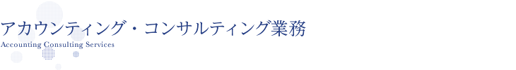 アカウンティング・コンサルティング業務 Accounting Consulting Services