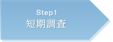 Step1 短期調査