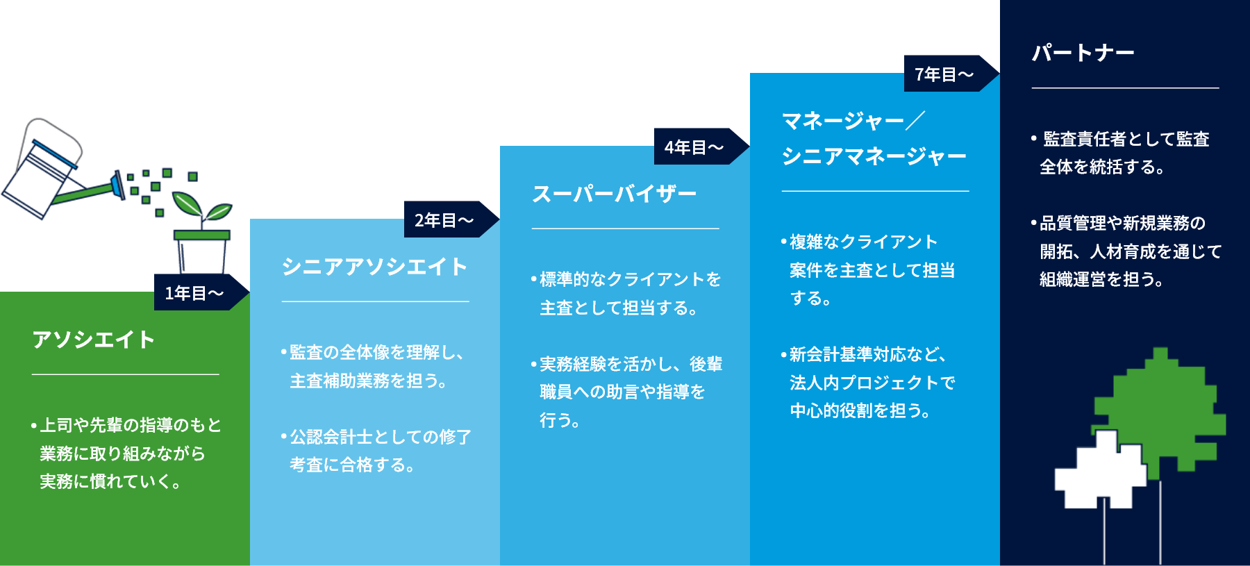 入社後のキャリアイメージを示した画像。